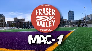 The Original Fraser Valley Weed Co Mac-1 Review!