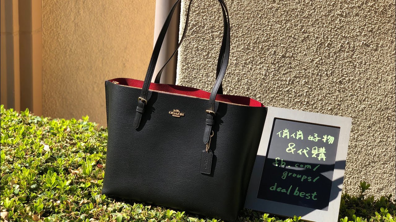 Coach Mollie Tote Bag Review! 