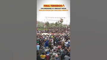 Final mengguncangkan merpati kolong🔥 #merpati #merpatikolongmeja #pigeonrace #merpatikolongbebas