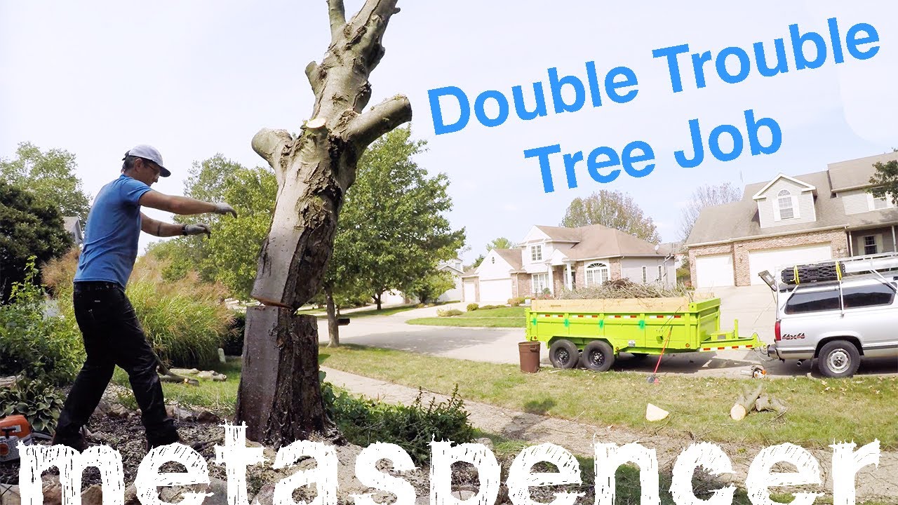 Double Trouble Tree Job - Solo Removal - YouTube