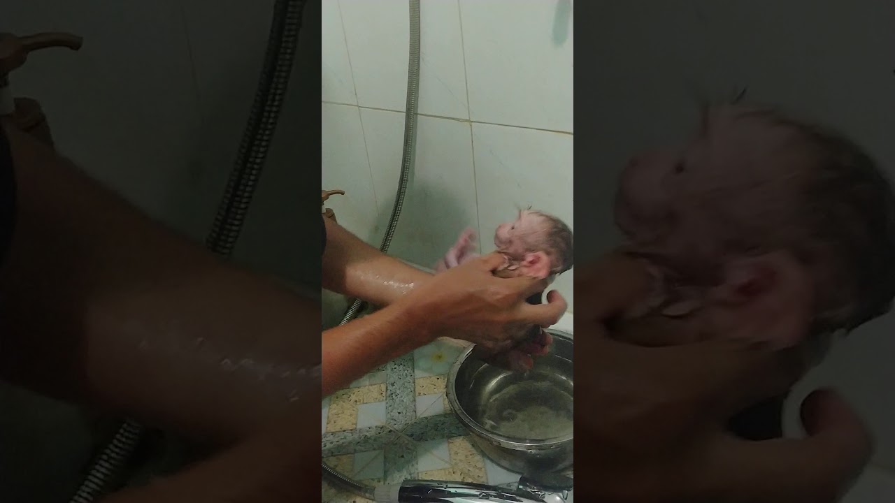 Dad to bathe baby monkey MIA