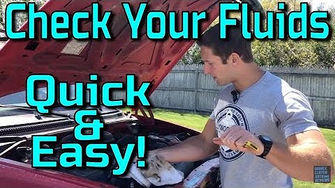 How To: Check & Fill Fluids In Your Car/Truck - QUICK & EASY! [DIY]
