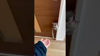 🔥 What is a Viral Video Hook? | Best Transitional Hooks for Instagram & TikTok (Free Download)