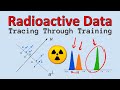 Radioactive data: tracing through training (Paper Explained)