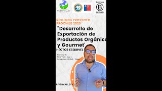 Video Prochile