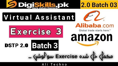 Virtual Assistant Exercise 3 Batch 3 | digiskills virtual assistant exercise 3 batch 3