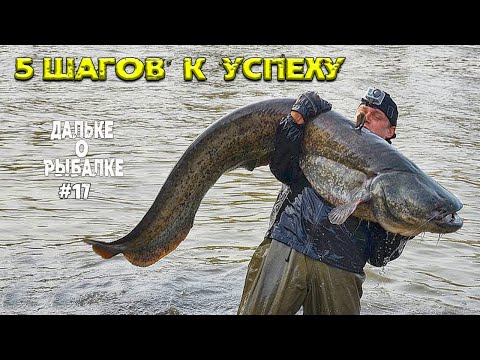 Видео: Как ловить сома | 5 шагов к успеху