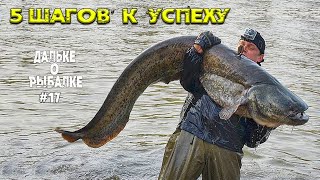 Как ловить сома | 5 шагов к успеху