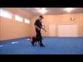 Lady (Labrador Retriever) Puppy Camp Dog Training Video Lady (Labrador Retriever) Puppy Camp Dog Training Video