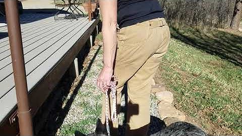 How to Teach Your Dog to HEEL (Part 2: teaching proper position)