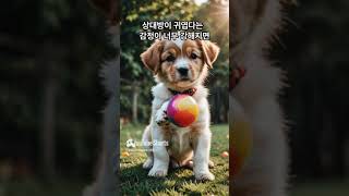 애인이있어요 근데 자꾸 깨무는이 유