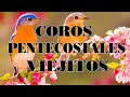 COROS PENTECOSTALES VIEJITOS PERO MUY BONITOS - GRACIAS POR LLEGAR A MI VIDA - COROS PENTECOSTALES