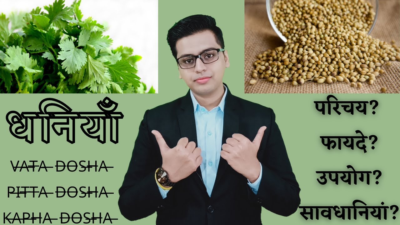 dhaniya ke fayde coriander benefits धनिया के फायदे coriandrum