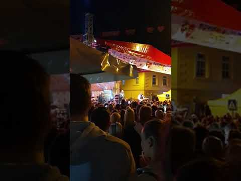 Zeko i potočić