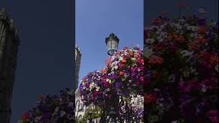 Discover Mechelen: The Hidden Gem of Belgium #shorts