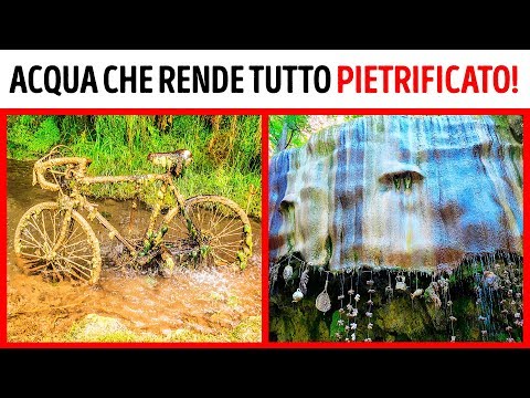 Video: Cinque Luoghi Sulla Terra Che Gli Scienziati Considerano Portali Per Altri Mondi - Visualizzazione Alternativa