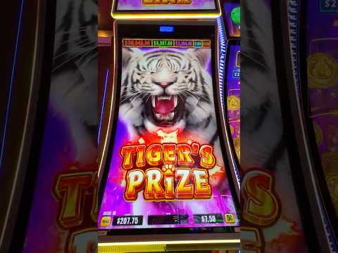1. Understanding Progressive Jackpots at Unlimluck