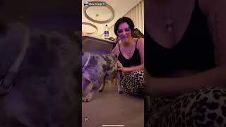 Malu Trevejo TikTok live (11.6.25)