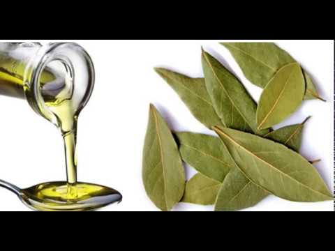 ЧУДО СРЕДСТВО ОТ 100 БОЛЕЗНЕЙ! Невероятные свойства ЛАВРОВОГО МАСЛА