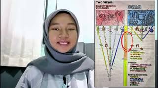 Rekonstruksi Evolusi Hominoid Berdasarkan Bukti Fosil dan Molekuler