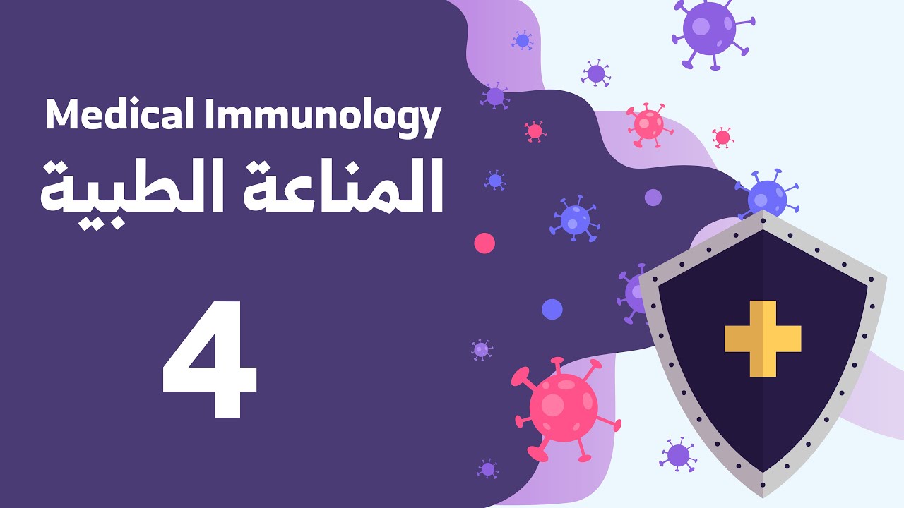 Medical Immunology Lecture 4 محاضرة المناعة الطبية