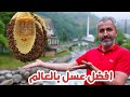 اغلى عسل في العالم تركيا | عسل انزر | عسل الشمال التركي