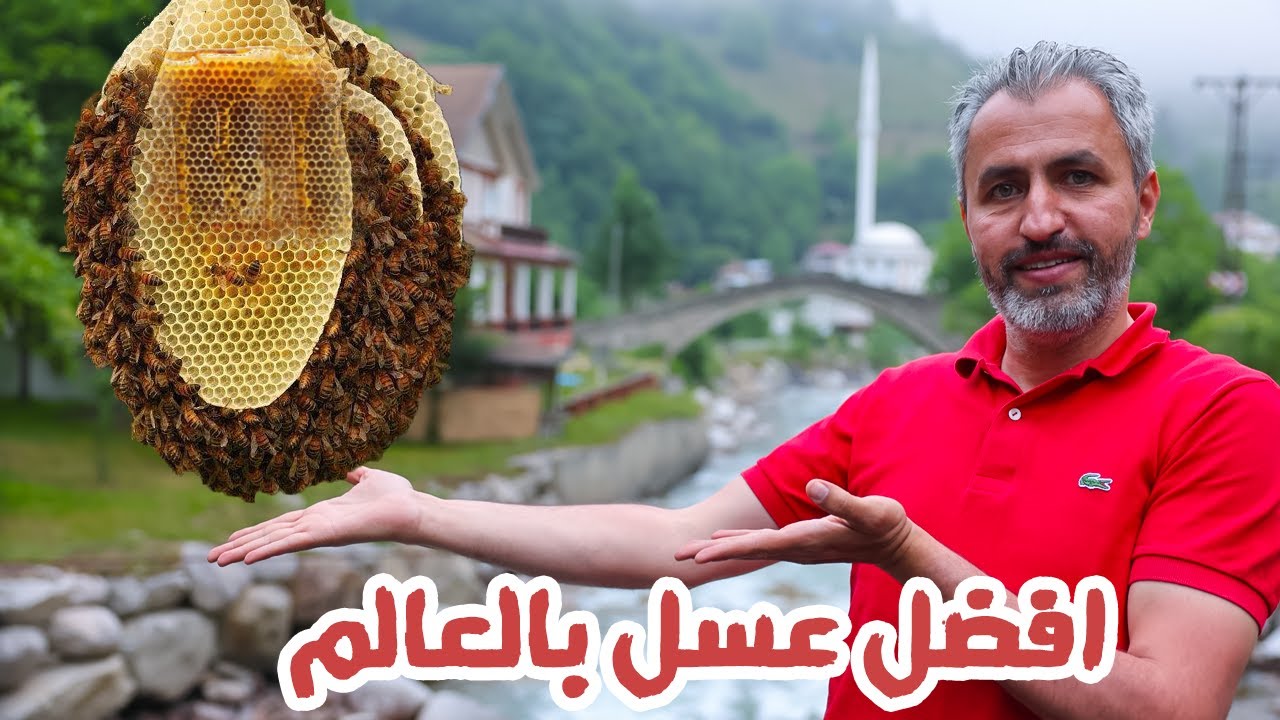 اغلى عسل في العالم تركيا | عسل انزر | عسل الشمال التركي