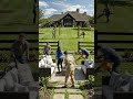 Horse Stable Home Transformation Gone Viral 🚀#shorts#usashorts#horse#trending#vairal#fyp