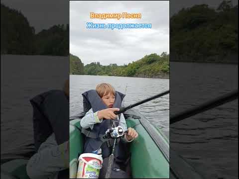 Владимир Песня / жизнь продолжается #shortvideo #shorts #short