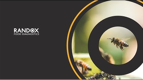 Randox Honey Webinar 26 NOV 2020