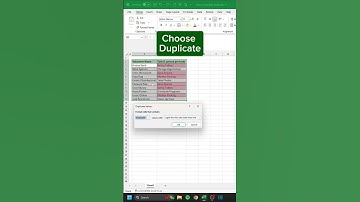 How to Highlight Duplicates in 24 seconds 🤩 #excel