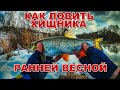 Как ловить хищника ранней весной | Места и проводки | Ловля щуки, голавля и окуня перед половодкой