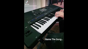 Name The Song Challenge - #84 | RIMMERS MUSIC