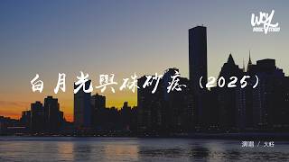 大籽 - 白月光與硃砂痣 (2025)(可轉伴奏和人聲視頻)【動態歌詞/pīn yīn gē cí】