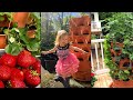 Beautiful gardeners and organic harvests: 125+ Garden Tower growers share their photos: