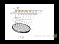 Graphing Cell OD + Viable Numbers Versus Dilution