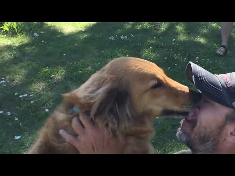 Dog reunited with owner