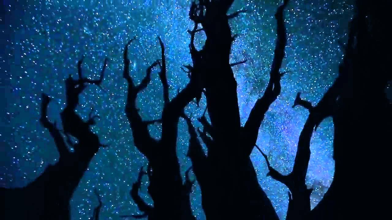 Watch SiebZehn - Space Probe on YouTube Watch SiebZehn - Space Probe on YouTube