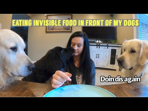 eating-invisible-food-in-front-of-my-dogs