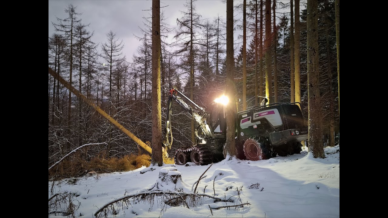 🌲*SnowLogging* • Logset 6HP GTE • Forstbetrieb Neuhaus ...