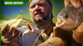 MEDO! PEIXES PERIGOSOS QUE FURAM E MORDEM NO PANTANAL! | BRASIL BIOMAS