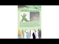 Sinhalite Digital Brochure is now fully accessible for people with visual impairments