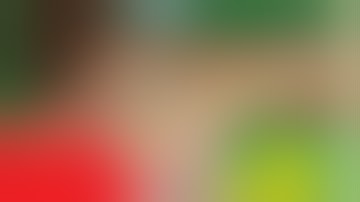 THE BIG LEZ SHOW - ALL OF SEASON 4