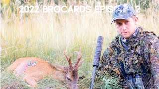 Stalking Roe Bucks in South West France '22 Ep.2 ⎢ Brocards à l'approche dans le sud ouest '22 Ep.2