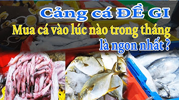 CẢNG CÁ ĐỀ GI | Mua cá vào lúc nào trong tháng là ngon nhất? | Quê Nhà Thân Thương