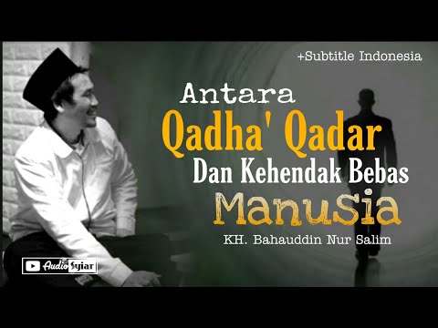 Video: Zon Kehendak Bebas - Pandangan Alternatif