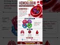 🩸 Hemoglobin is the oxygen carrier of our blood! #Hemoglobin#BloodCells  #medicallaboratoryscience