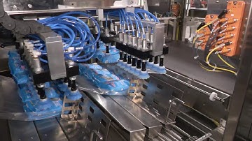 Shrink Bundling Machine for Pet Food Bags 4443h