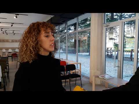 თამუნა გველესიანი   სტარტაპერი