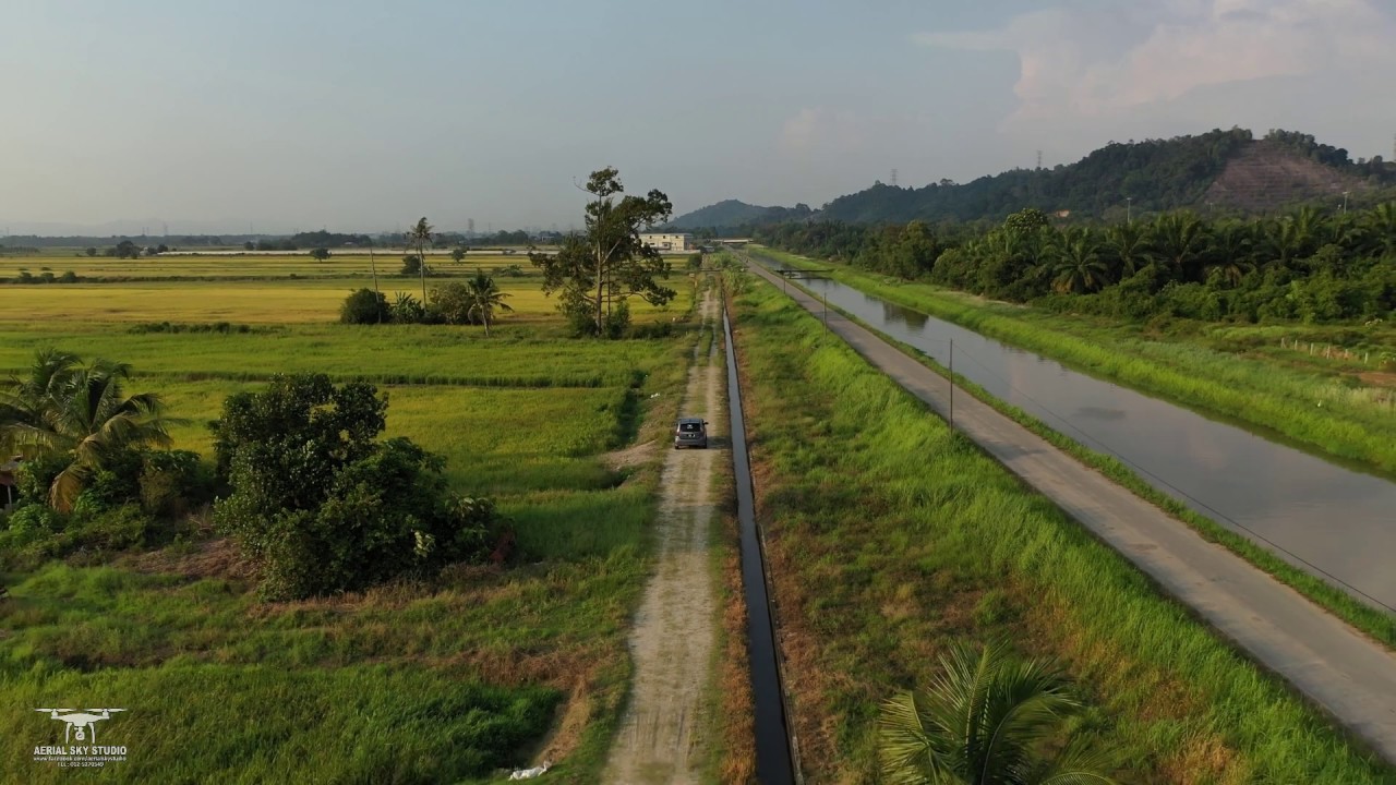 SAWAH PADI DI SEMANGGOL PERAK 